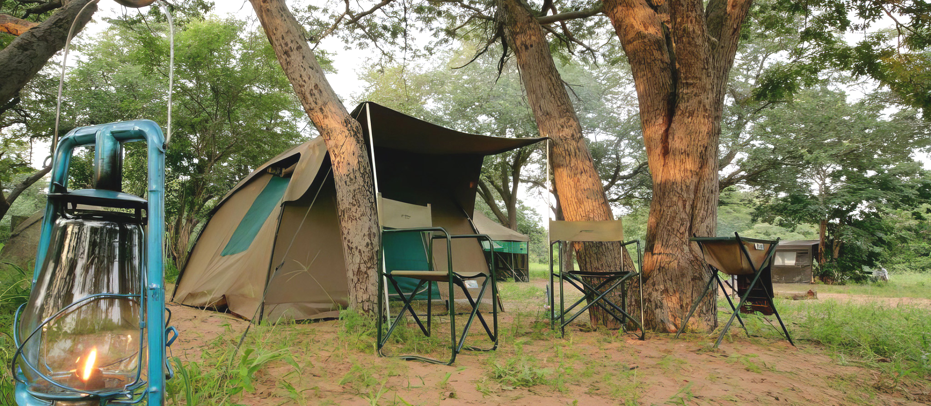 Bush Tents